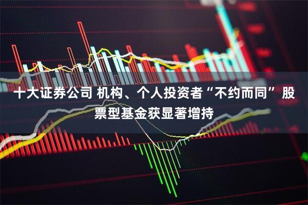 十大证券公司 机构、个人投资者“不约而同” 股票型基金获显著增持